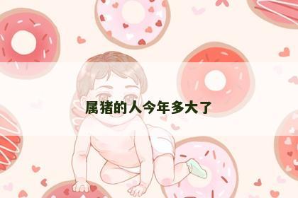 属猪的人今年多大了
