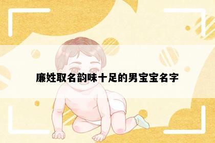 廉姓取名韵味十足的男宝宝名字
